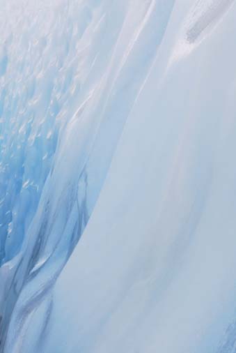 Frans Glacier 2009