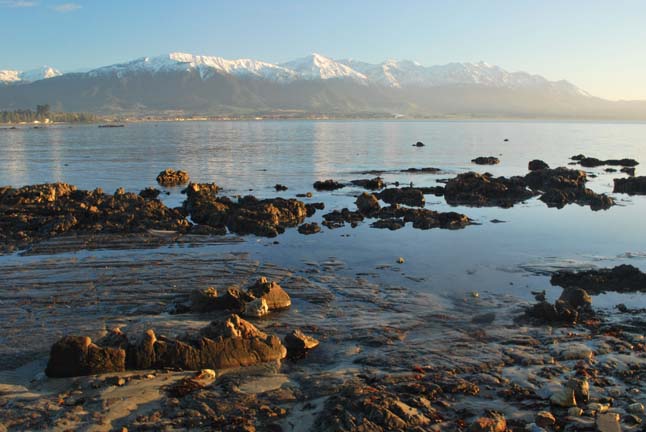 Kaikoura 2009