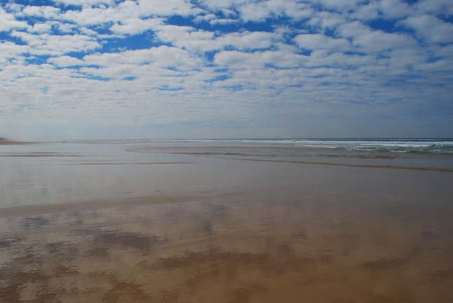 Mirror 2009